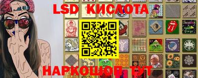 сатива Камышлов