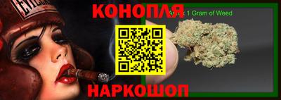 сатива Камышлов