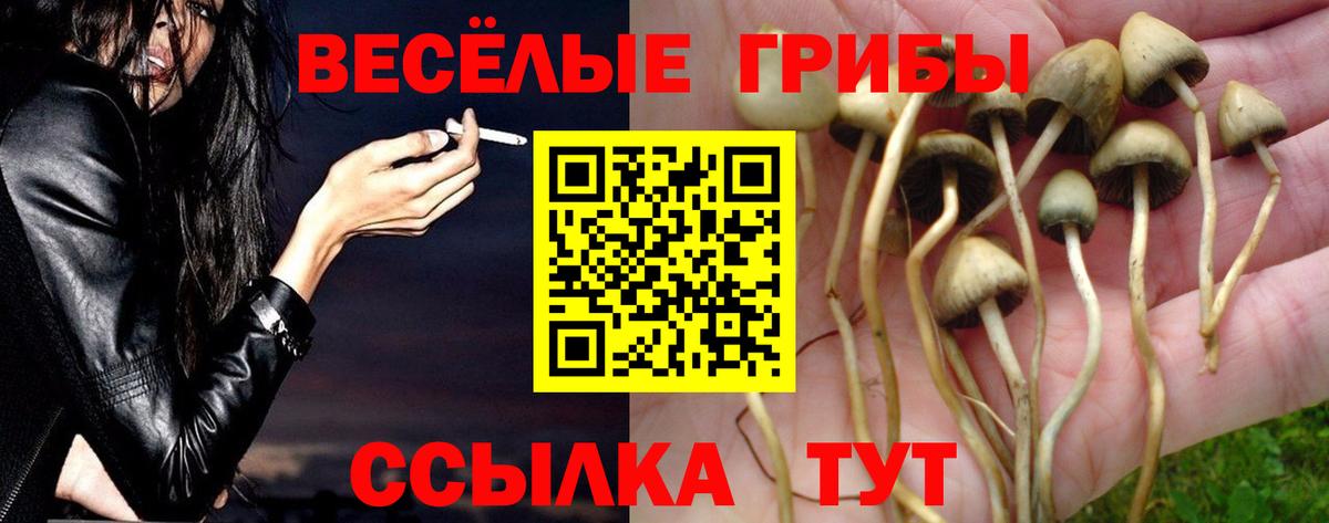 Галлюциногенные грибы мицелий  Галлюциногенные грибы GOLDEN TEACHER  Вход с VPN  Кудрово 